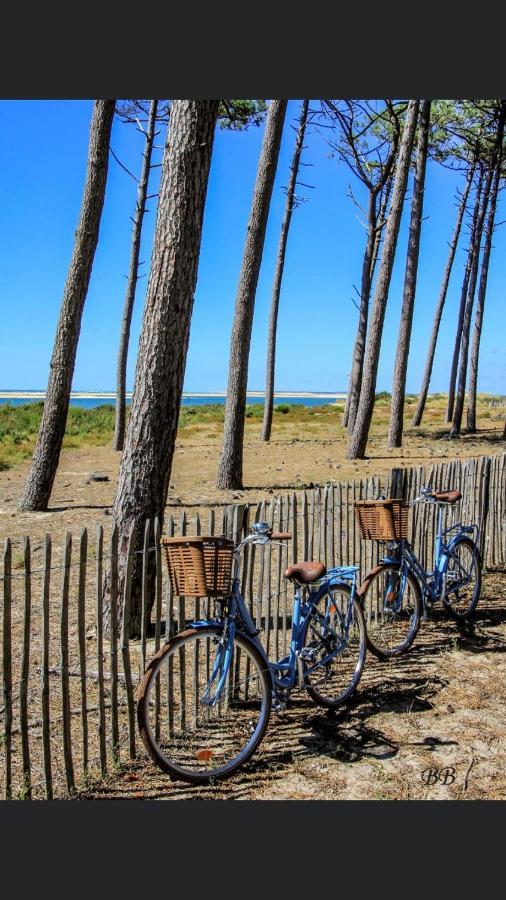 Ferienhaus Maison Jardin 3 Ch Centre Bassin Arcachon *