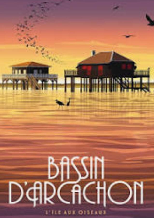 Maison Jardin 3 Ch Centre Bassin Arcachon
